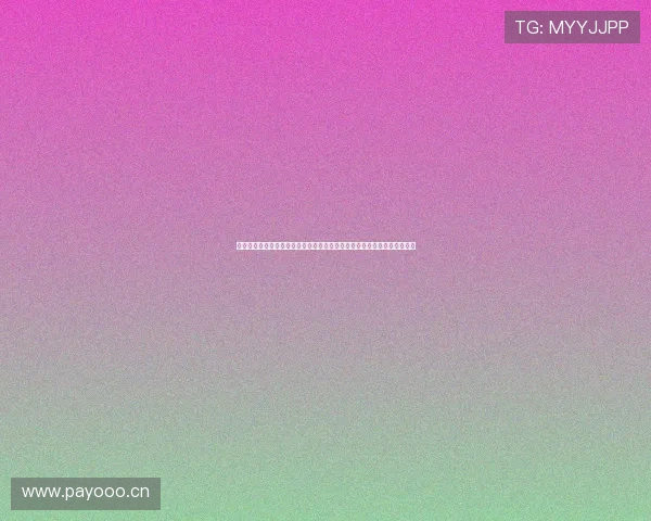 以星海足球场为核心打造城市体育文化新地标与活力生活圈的整体发展构想